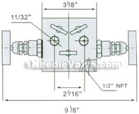 EN5-13 SS-M2F8 five-valve manifold constructral diagram(pic1)