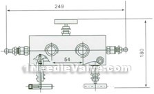 EN5-14 WF-3 type five-valve manifold constructral diagram(pic1)