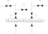 EN5-14 WF-3 type five-valve manifold constructral diagram(pic2)