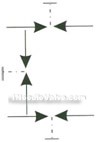 EN5-4 SS-M2F8 internal thread three-valve manifold constructral diagram(pic2)