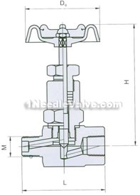 J21W/H internal and external pressure gage needle valve constructral diagram