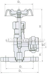 JX49W/H level gauge valve constructral diagram