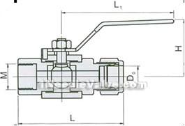 Q91SA reducing pipeline measurement ball valve constructral diagram