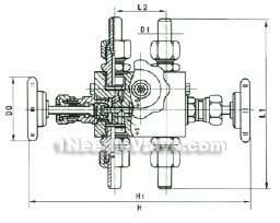 QFF3 blance needle valve constructral diagram